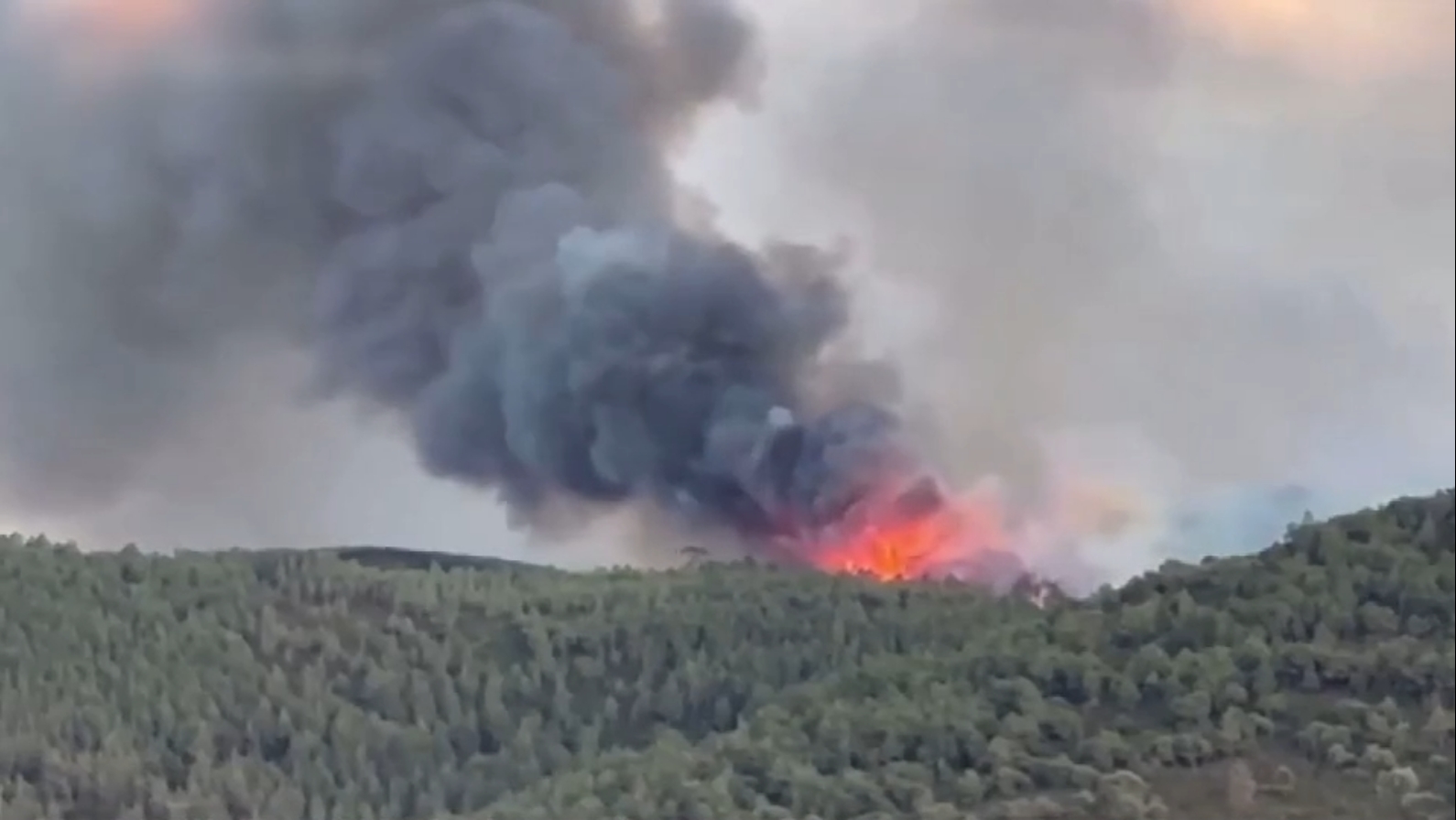 Ola de calor desata incendios en España y Francia - TVC