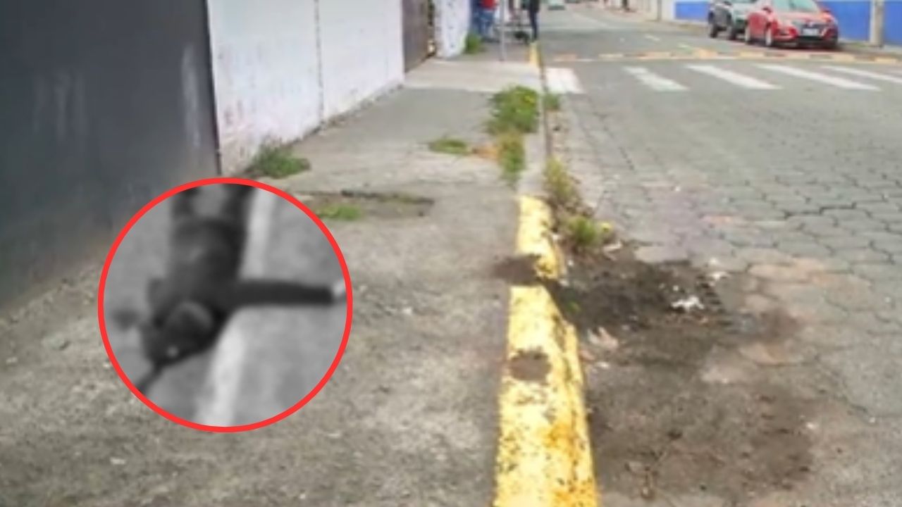Hombre es asesinado de varios disparos en San Isidro del Inca - TVC