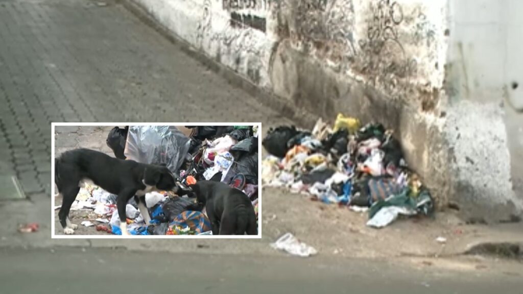 Vecinos denuncian botadero de basura en intersección de San Diego - TVC