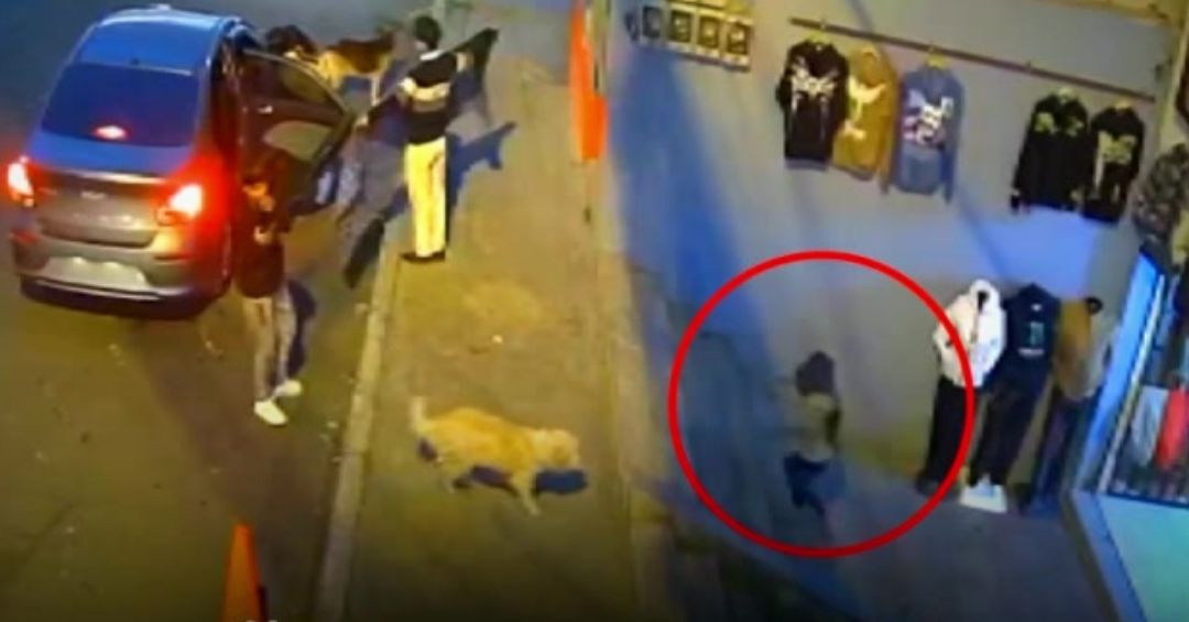 Delincuentes usan a una niña para robar en local del sur de Quito - TVC